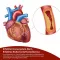 BEH Arteria+ kapszula, 90 db