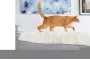 Instructions for use for FRONTLINE COMBO SPOT ON Cat, 3 db - 4