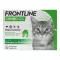 FRONTLINE COMBO SPOT ON Cat, 6 db