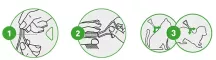 Instructions for use for FRONTLINE COMBO SPOT ON Cat, 6 db - 5