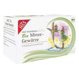 H&S Winter Tea Bio menta fűszeres filteres zacskó, 20X2.0 g