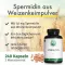 Green Naturals Spermidine 1,6 mg vegán kapszula, 240 db