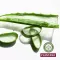 Plantana Aloe Vera Care zuhanyfürdő organikus aloe verával, 500 ml
